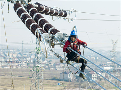 Market Growth and Technology Adoption